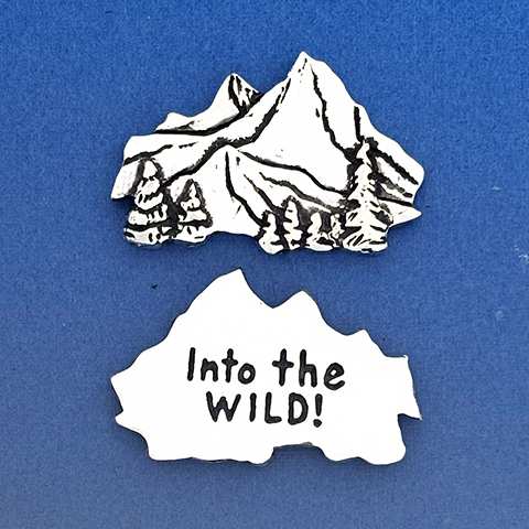 Mountains Into The Wild Coin 