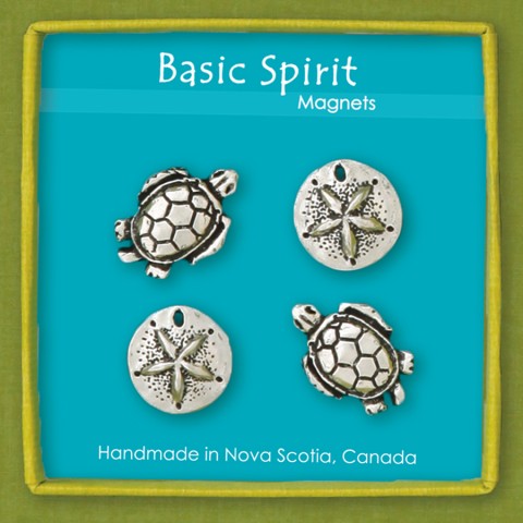 Turtles Mini Magnet Set (Boxed)