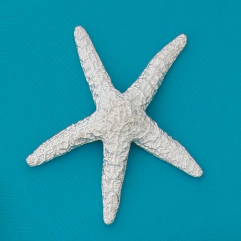 Large Starfish