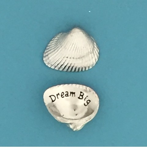 Dream Big Medium Spirit Shell